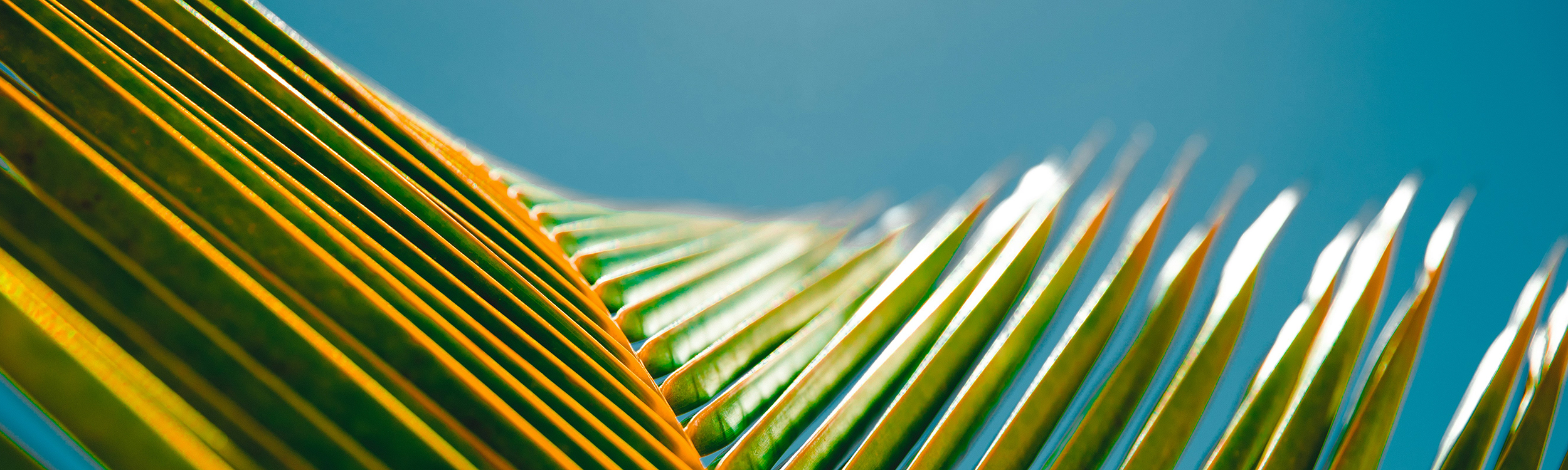 jakob-owens-TMxUnMAAwFA-unsplash (1)